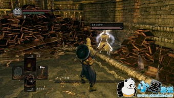 《黑暗之魂3》8周目无伤击杀全BOSS，喂狗组极限挑战新突破