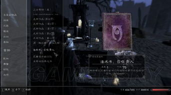 《上古卷轴5》武器护甲详鉴，宝物宠物图鉴全收录攻略秘籍