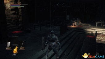 《黑暗之魂3》白金攻略：全奖杯达成技巧揭秘