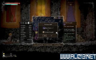 《盐与避难所》全职业攻略揭秘，戒指护符价值解析指南