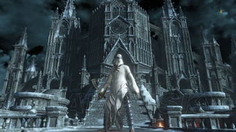 《黑暗之魂3》双鳄鱼与骑士挑战攻略：高效打法解析新技巧