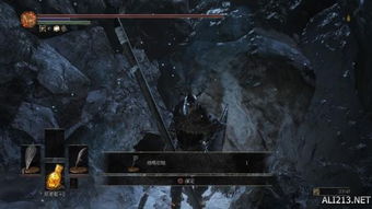 《黑暗之魂3》武器全属性解析与变质特典深度揭秘