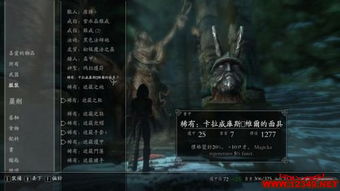上古卷轴5魔神器详览：价值解析与神秘效果揭秘