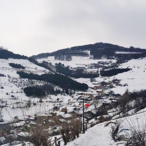 村长打天下布局攻略：新手必看全方位布局技巧解析