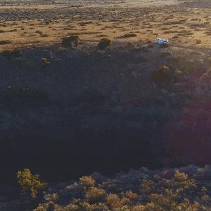 《戴夫潜水员：揭秘最佳员工配置与四维属性攻略》