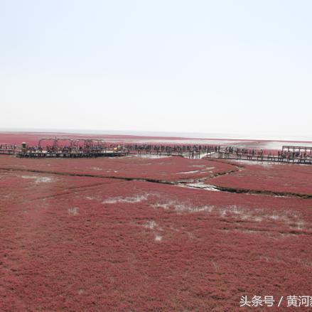 《三角洲行动》大红刷点攻略：揭秘全新刷新位置技巧