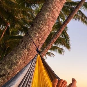 棕榈天堂宝箱位置速查，宝藏分布全解析