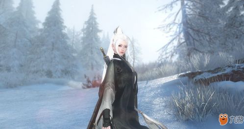 逆水寒舞阳城老二攻略：高效打法与站位技巧解析