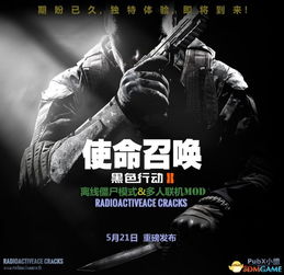 《使命召唤9》离线多人破解补丁即将上线！独家揭秘！