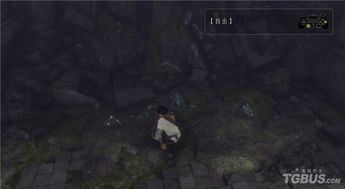 《最后的守护者》全剧情攻略：深度解析任务流程与策略技巧