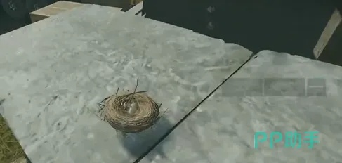 《三角洲行动》鸟窝位置速查，揭秘战术制高点！