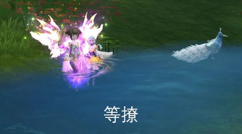 《卧龙苍天陨落》欧美异域美颜重塑，揭秘新颜秘术！