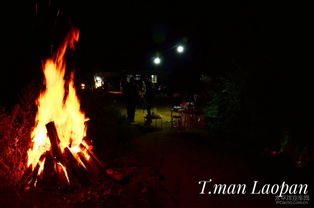 篝火秘技揭秘：森林之子野外生存新价值