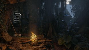 《森林之子》深度攻略：解锁生存技巧，成为丛林高手