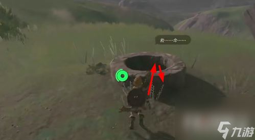 《塞尔达传说》泡泡拉高地鸟望台攻略：快速开塔秘境！