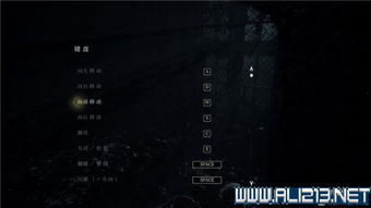 破解《隐秘的角落》谜题攻略：深度解析新视角