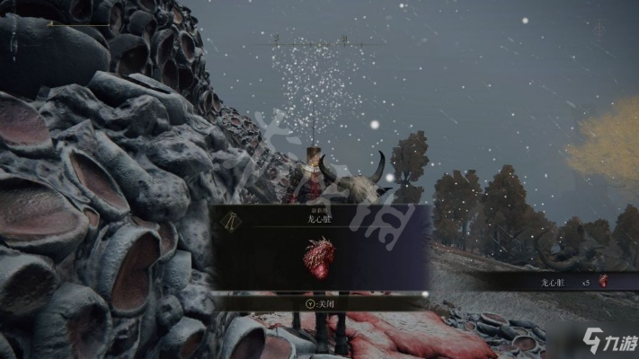 《艾尔登法环》龙心攻略：独门秘籍解锁龙心脏获取方法
