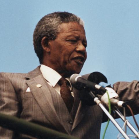 《幻想生活i》攻略：轻松获取巨大曼德拉草秘籍