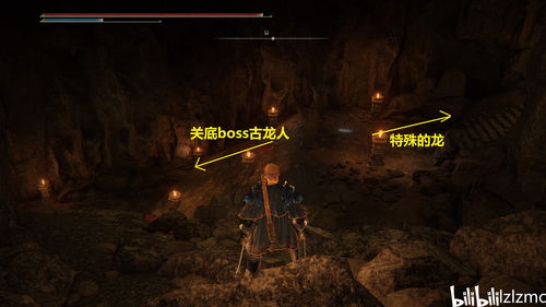 《艾尔登法环》古龙线逃课攻略：黄金树之影DLC高效技巧揭秘