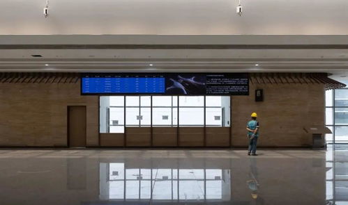 《羊了个羊》通关秘籍：2月18日挑战全攻略解锁新技巧