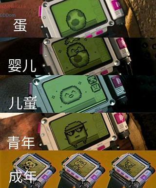 《使命召唤16》拓麻歌子养护秘籍：打造完美电子宠物新攻略