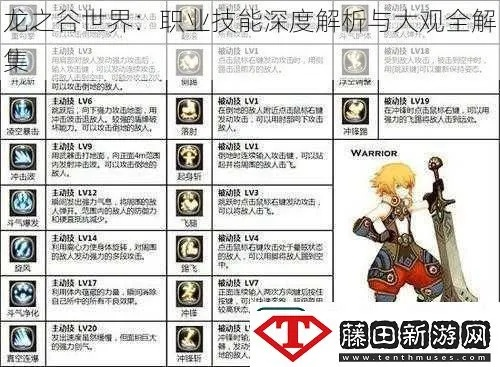 盛大龙之谷官网2025必看，隐藏福利+职业加点秘籍+副本机制全揭秘