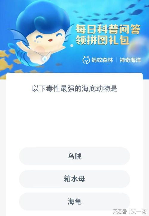 神奇海洋4月30日答案揭晓2025多图