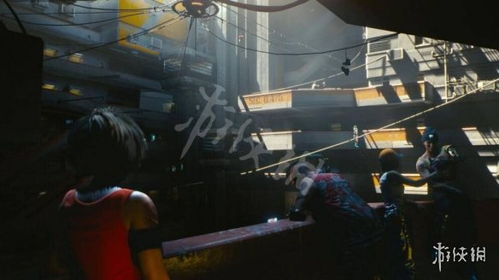 《赛博朋克2077》公寓养猫攻略：高效猫咪养护秘籍