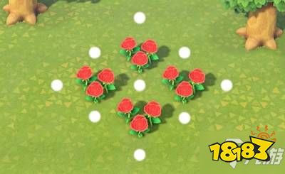 花卉杂交技巧深度解析，解锁《动物森友会》新玩法
