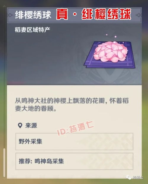 绯樱绣球怎么高效收集？原神2025最新刷新点+隐藏获取技巧全揭秘