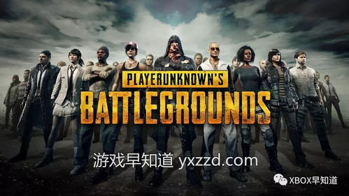 《绝地求生》第25轮更新解析：深度揭秘全新游戏体验革新