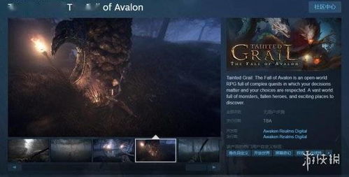 《污痕圣杯阿瓦隆陨落显圣支线全NPC位跑图攻略》