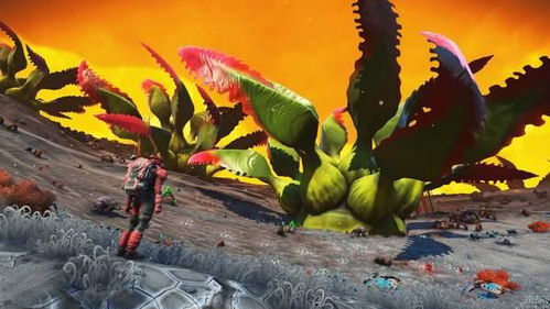 《无人深空》水世界新升级：探索神秘水下宇宙！