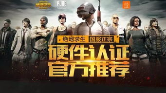 《绝地求生》1月11日更新揭秘：新服装与国服专属解析，伤害递减深度剖析