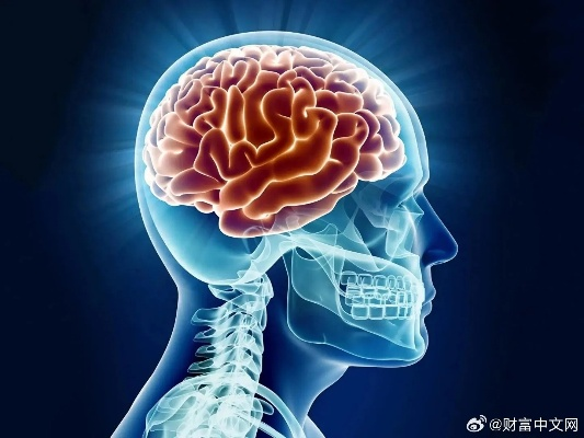 为什么晚上大脑决策力大幅下降?千万别在晚上做重大决定！