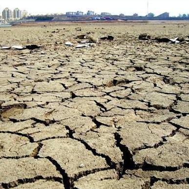 传奇归来刺客装备2025最强搭配，隐藏属性如何拉满实战输出？