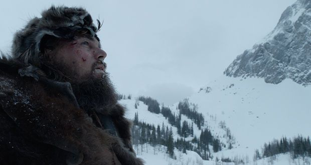 《荒野猎人捕怪攻略：高效捕获技巧揭秘》