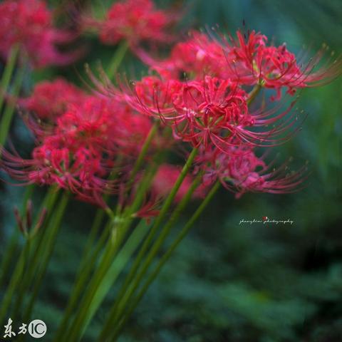 《痛苦地狱》IGN4.0分：揭秘为何痛苦玩法让游戏乐趣尽失