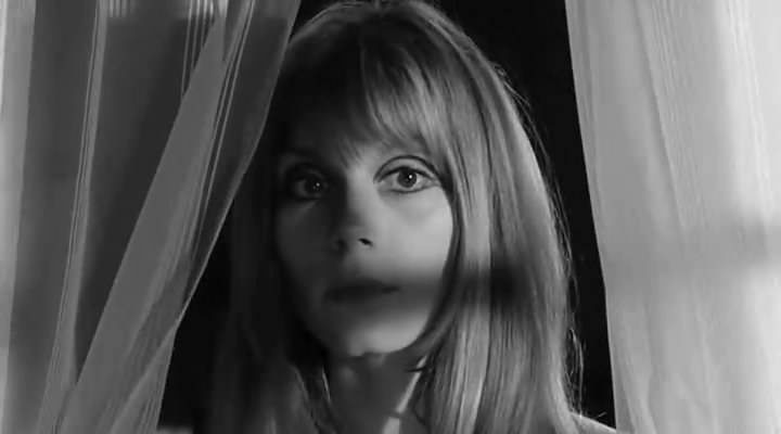 荒岛惊魂剧情终极解析，鲜为人知的伏笔与隐藏结局你真的懂吗？