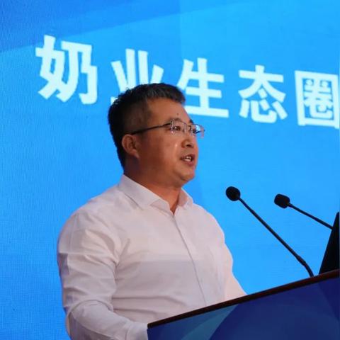 拯救奶牛2025必看，3个冷门细节让你轻松通关隐藏关卡