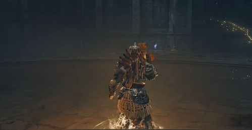 《艾尔登法环》萝蜜娜黄金树之影DLC跑图攻略：隐藏位置揭秘