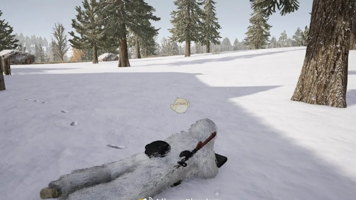 雪地绝地求生：揭秘连狙与自动步枪新选择