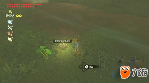 荒野挑战全攻略揭秘，轻松通关塞尔达传说新技巧