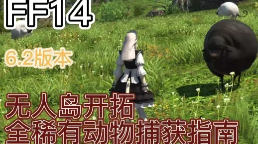 《FF14》6.2无人岛攻略：新手开荒必备技巧揭秘