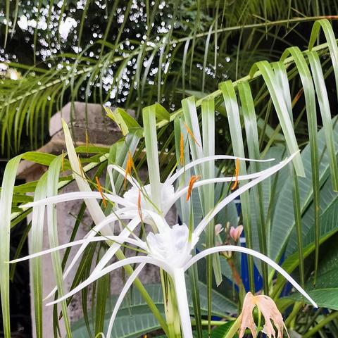 《夜幕魅影水鬼攻略：轻松击败水鬼技巧揭秘》