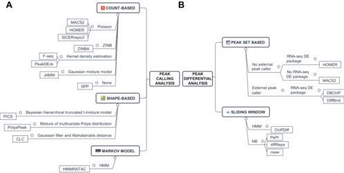 《三伏》攻略揭秘：全剧情流程深度解析