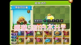 宝可梦ZA闪速刷性别头新攻略，高效提升实战实力