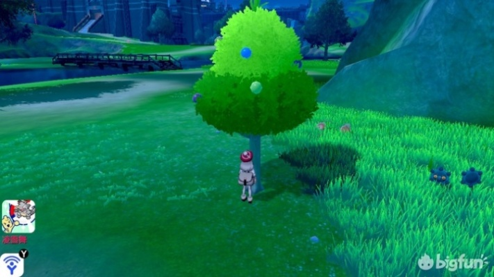 《宝可梦传说ZA》高效低成本树果攻略，解锁全新收益技巧