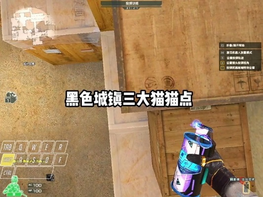 绝地求生黑域撤离猫猫点位解析，黑豹藏身新攻略揭秘