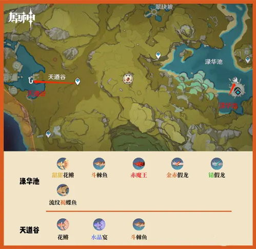 《原神》钩钩果高效攻略：3.5版本必看收集路线及新技巧